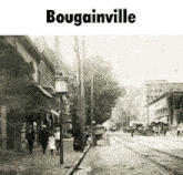 Bougainville Blimney Street GIF - Bougainville Blimney Street GIFs