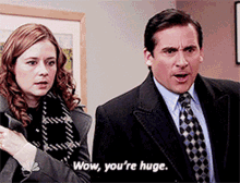 The Office Michael Scott GIF - The Office Michael Scott Wow Youre Huge GIFs