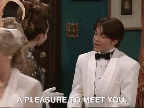 Pleasure To Meet You Nice To Meet You GIF - Pleasure To Meet You Nice To Meet You GIFs