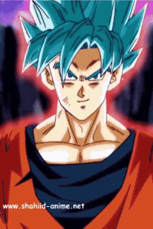 a cartoon of a man with blue hair and the website shahiid-anime.net