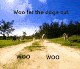 Woo Let The Dogs Out GIF - Woo Let The Dogs Out GIFs