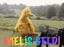 Melisgeldi123 Meliss44 GIF - Melisgeldi123 Meliss44 Melismelis GIFs