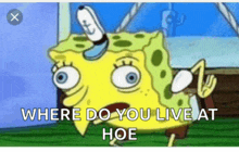 a cartoon of spongebob with the words " where do you live at hoe "