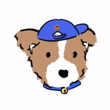 brown white puppy blue hat