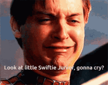 Swiftie Meme Spiderman Cry GIF