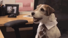 Take Your Dog To Work Day GIF - Take Your Dog To Work Day Good Boy Business Dog GIFs
