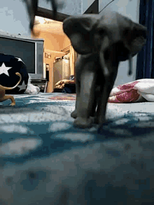 Victory Toys GIF - Victory Toys Elephant Goes Down GIFs