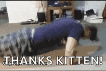 Cat Trainer GIF - Cat Trainer Funny GIFs