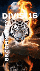 a poster with a tiger and the words division 16