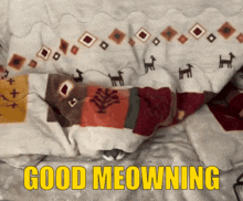 a cat is laying under a blanket with the words good meowning written on it