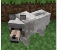 Minecraft Dog GIF