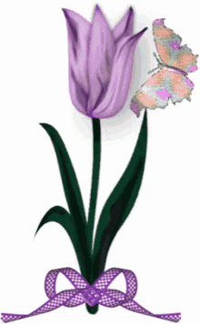 Tulip Butterfly GIF