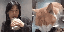 Yeonjun Mr Fresh Yeonjun Cat Look Up GIF - Yeonjun Mr Fresh Yeonjun Cat Look Up GIFs