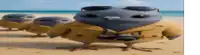 a group of birds wearing sunglasses and coats on a beach