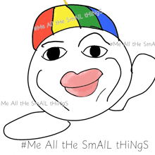 a drawing of a face with a rainbow hat and the words me all the small things