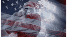 a gorilla with a chain around its neck is in front of an american flag