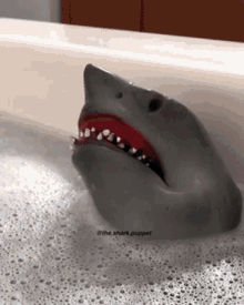 Shark Puppet Shark Week GIF - Shark Puppet Shark Week Bath GIFs