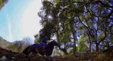 Not The Horse! GIF - Whodunnit Abc Horse GIFs