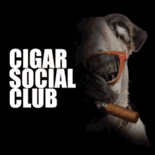 Cigar Social Club Cigarsocial GIF - Cigar Social Club Cigarsocial Cigar GIFs