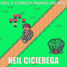 Neil Cicierega Bike GIF - Neil Cicierega Bike Biking GIFs