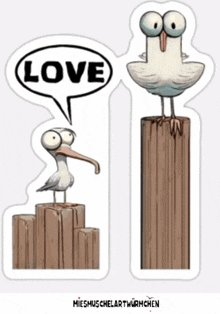 Seagulls Love GIF - Seagulls Love Liebe GIFs