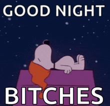 a cartoon of snoopy laying on a bed with the words " good night bitches " above him