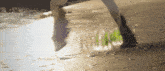 a blurred image of a person walking on a sandy beach