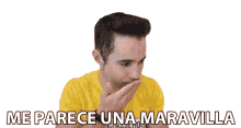 me parece una maravilla mayden expcaseros genial asombroso me parece una maravilla mayden expcaseros genial asombroso