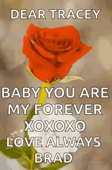 Baby You Are My Forever Love GIF - Baby You Are My Forever My Forever Love GIFs