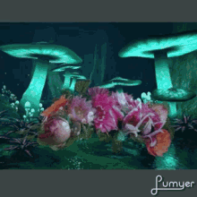 mushrooms flowers