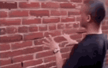Brick Wall Talking GIF - Brick Wall Talking Talking To A Wall GIFs