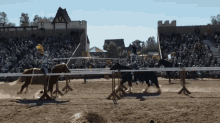 Jousting GIF - Jousting GIFs