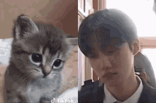 Chanhee Tbz GIF - Chanhee Tbz Cat GIFs