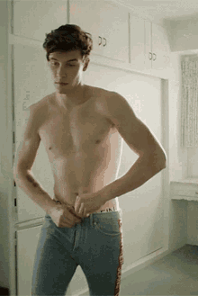 Shawn Mendes Shirtless GIF - Shawn Mendes Shirtless Handsome GIFs