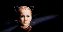 Cat Draco Malfoy GIF