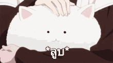ลูบหัวแมว GIF - Anime Pat Cat GIFs