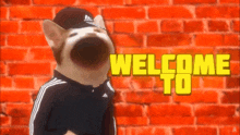 Welcome To Party GIF - Welcome To Party GIFs