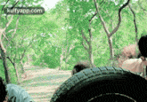 a person is sitting on a tire on a path in the woods .