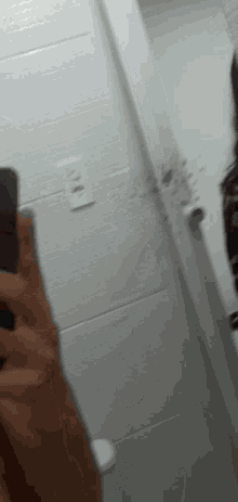 Erick Schiavon Selfie GIF - Erick Schiavon Selfie Mirror GIFs