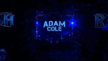 Adam Cole Wrestling GIF - Adam Cole Wrestling Roh GIFs