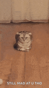a cat is laying on the floor with the words `` still mad at u tho '' below it .