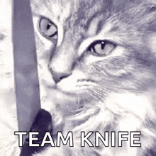 Knife GIF