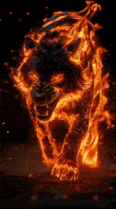 a tiger is surrounded by flames and looks like it is glowing in the dark