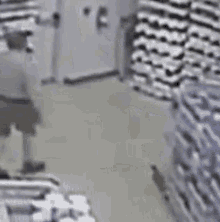 a man is walking through a store with a dog .