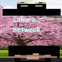 Sakura Limit GIF - Sakura Limit Minecraft GIFs