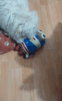 Dog Play Time GIF - Dog Play Time Chew Toy GIFs