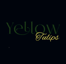 a red background with the words yellow tulips written on it