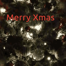 Christmas Tree Christmas Miracle GIF - Christmas Tree Christmas Miracle Christmas Good Morning GIFs