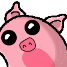 pig wobbly cute