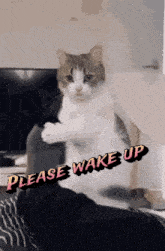 a cat is sitting on a person 's lap with the words please wake up behind it